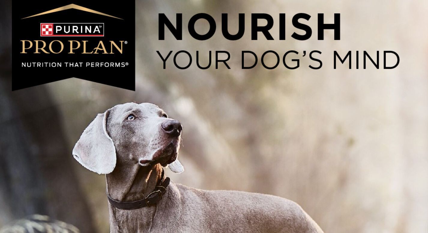 Purina Pro Plan Nourish your dog's mind